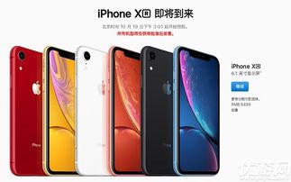 iPhoneXR港版多少钱 iPhoneXR港版 日版 美版 台版价格对比