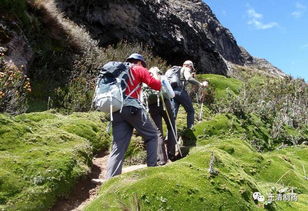 秋季爬山最养心,正确的登山方法很重要