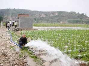 这项补贴你知道吗 浇地用水的费用补贴 