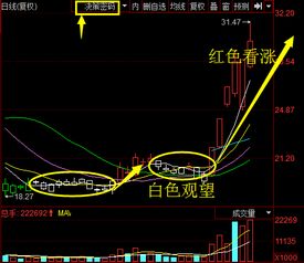 什么炒股软件有免费L2行情？或者说怎样可以实现免费Level2来查看十档行情和主力资金流入大单？证