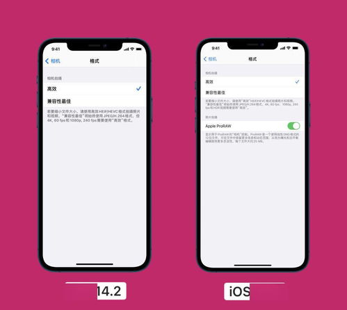 问问 iPhone12 如何开启拍摄 ProRAW 高质量照片