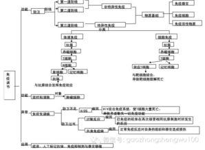 生物必修三知识框架图