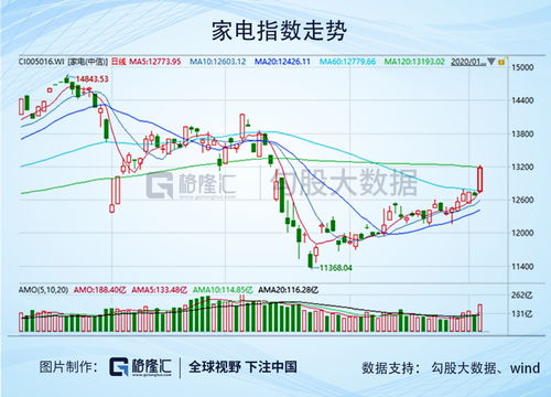 股票宝泰隆是体育板块吗？