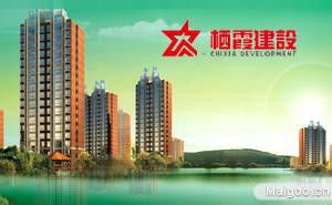 南京房地产有哪些知名企业？
