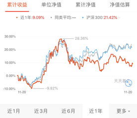 华夏基金重仓中小盘的是哪些