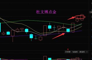 股高手，帮一个朋友问一支股票，彩虹精化002256，前景如何？