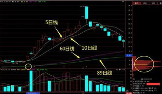 八一钢铁多头能否守住，股价上穿BBI均线？