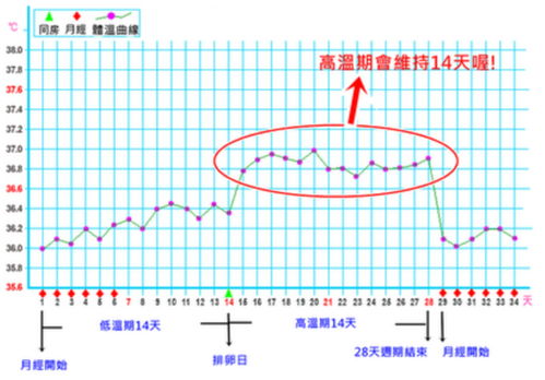 怎样测量基础体温：