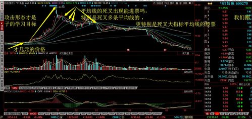 股市中， 什么叫做平均线