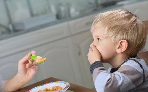 为什么大多数宝宝都爱挑食 3个原因很常见,越早发现越容易纠正