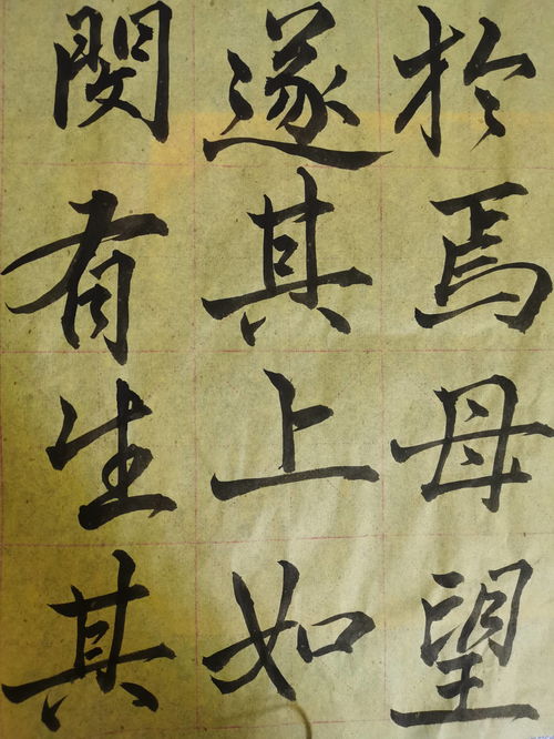 毛笔字怎么练?