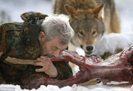 德国79岁老人成狼群首领 嘴对嘴喂生肉 