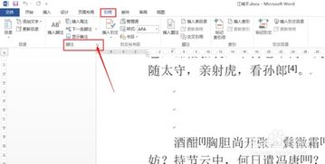 word2013中如何快速更改尾注数字编号格式 