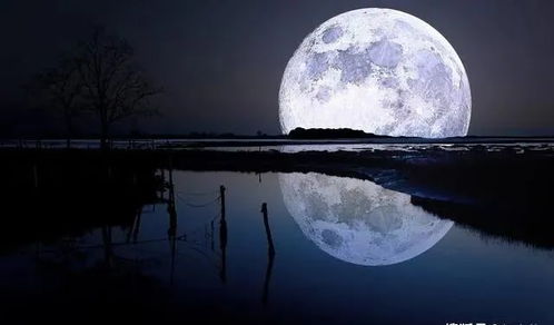 月球是高级文明刻意安排 种种迹象显示,科学家的怀疑或许是对的