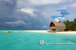 马尔代夫薇拉瓦鲁度假村攻略（完美海岛之旅）（马尔代夫薇莉岛）