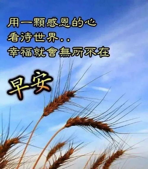 正能量早安励志的语句,早安励志正能量短句？