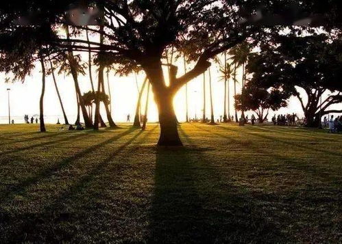 日落拍摄教程,不同角度拍出最美丽夕景