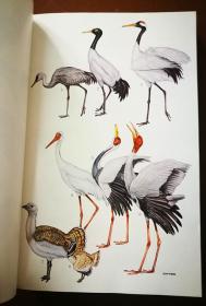 THE BIRDS OF CHINA 中国鸟类 英文原版书,大量鸟类介绍
