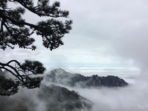 黄山深处有片海