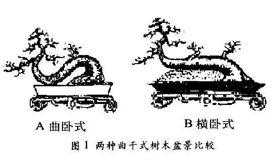 问下怎么卧干式盆景制作