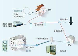 初级会计资格考试报名信息表上的 单位审核意见 怎么填？ 日期写哪天的？是去财政局确认的那天吗？