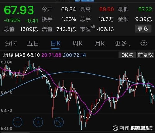 上海机场股票为什么大幅走低