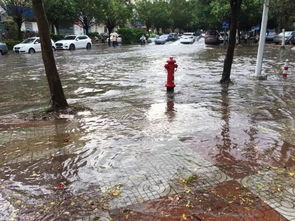 出行注意 今日降雨持续,多地有雷雨 冰雹