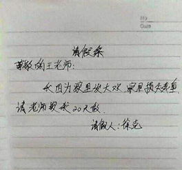 小学请假条怎么写的 