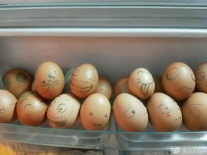 鸡蛋可以放冰箱里吗,鸡蛋可以放在冰箱里保鲜吗？