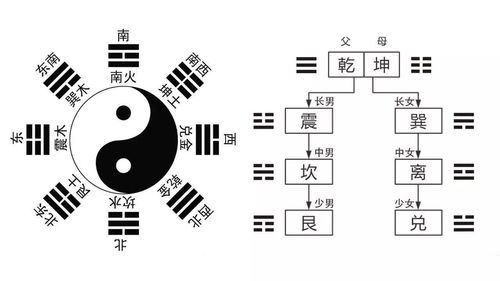 智慧线断开20种图解女