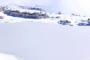 雪山上的 日出