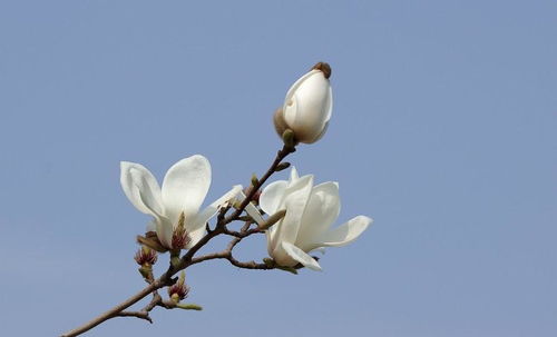 9月中旬开始,桃花涌进门,姻缘来报到,恩爱和睦的4大星座