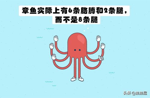 与这个世界相关,但你不一定知晓的15个冷知识