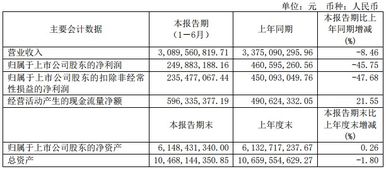 滨化集团的子公司有哪些