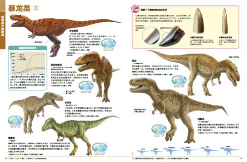 专家 博物馆打造,小学馆的恐龙百科,优秀得让人充满敬意