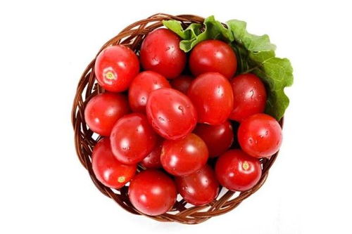 孕妇能吃小番茄吗(孕妇可以吃小西红柿圣女果吗)