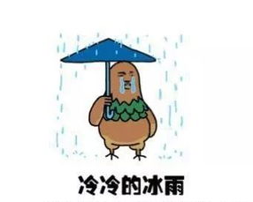 预警 暴雨 近期天气恶劣,这几条蔬菜防控措施做不好,收成将 泡汤 ,损失惨重 影响 