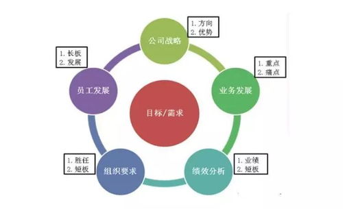 查重处理详解：从概念到实践