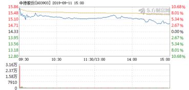 中持股份9月11日开盘涨幅达5