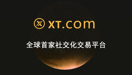 xt币价格