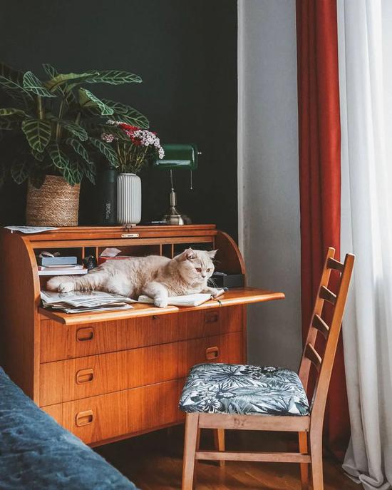 纽约插画师的温馨小屋 把家变成大型猫爬架