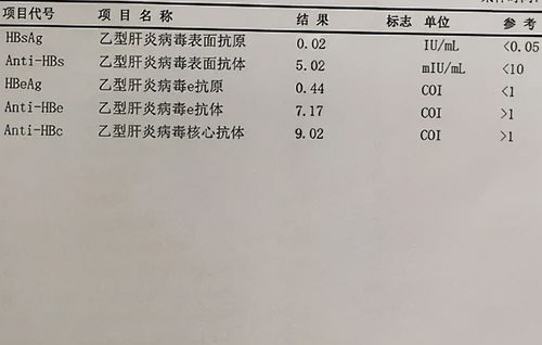 肝功能病毒指数检测结果是3.53e+0.5。检测下限是<；5.0e+02copies/ml.我看不懂