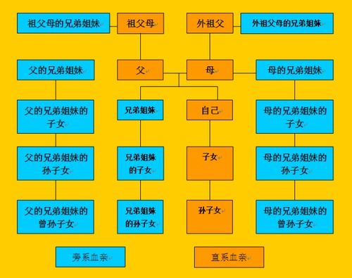 直系亲属与旁系亲属怎么区分 谢谢 