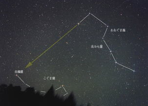 北极星的位置在哪里 求图片 