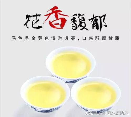 口感有点苦的茶叫什么