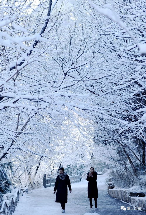 济南雪后 没话 上图