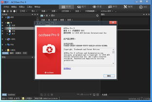 acdsee汉化软件包