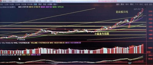 大家看看周一低开多少点，最低下探多少点？