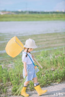 梦鱼 夏日帐