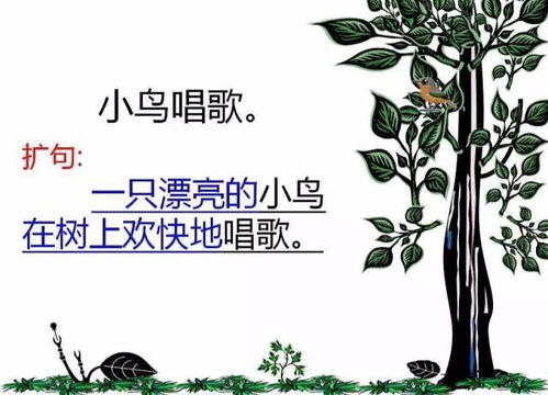 木瓜名言名句-木瓜掉进湖里扩句？